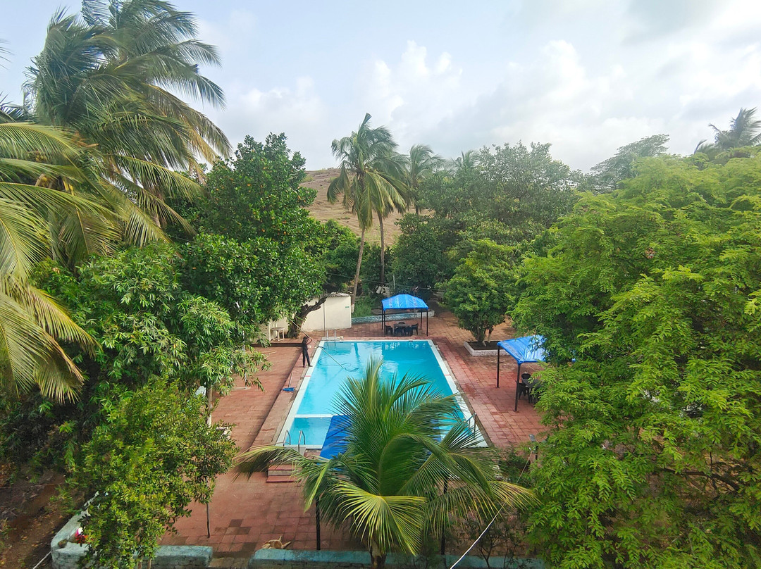 Vinyasa Treeland Saphale主图