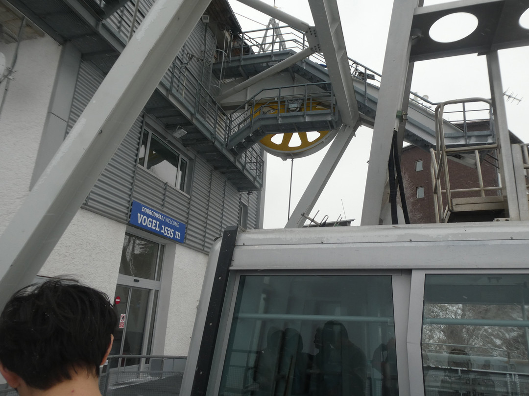 Vogel Cable Car景点图片