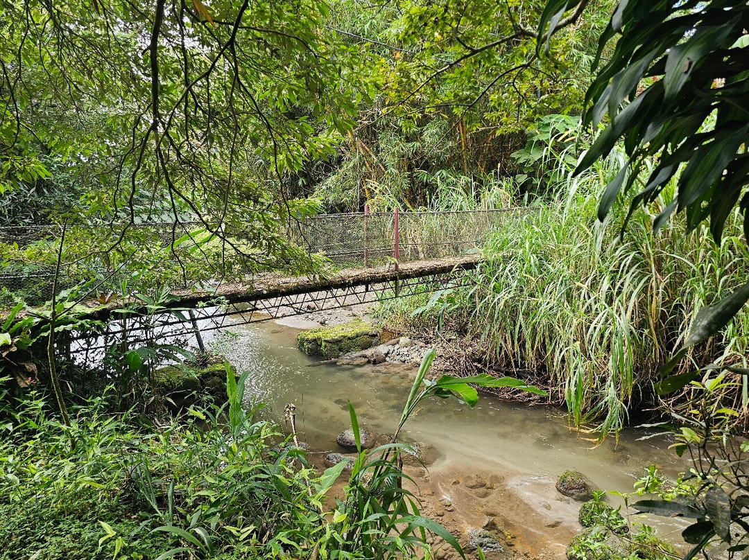 EVACC Foundation - El Valle Amphibian Conservation Center Foundation景点图片
