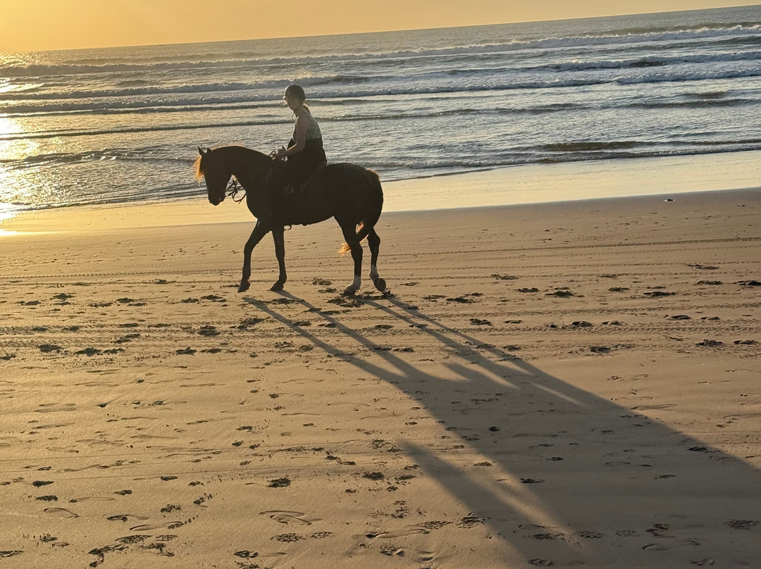 Maroc a Cheval-Sidi Kaouki必去景点