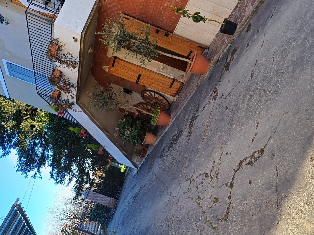 B&b L'arseni 1921主图