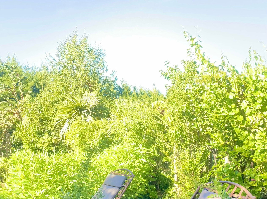 Hotel Vendimia Parador主图