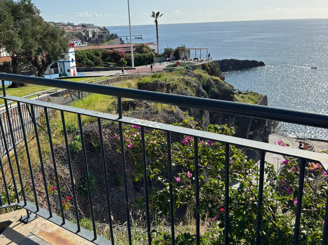 Baia de Camara de Lobos景点图片