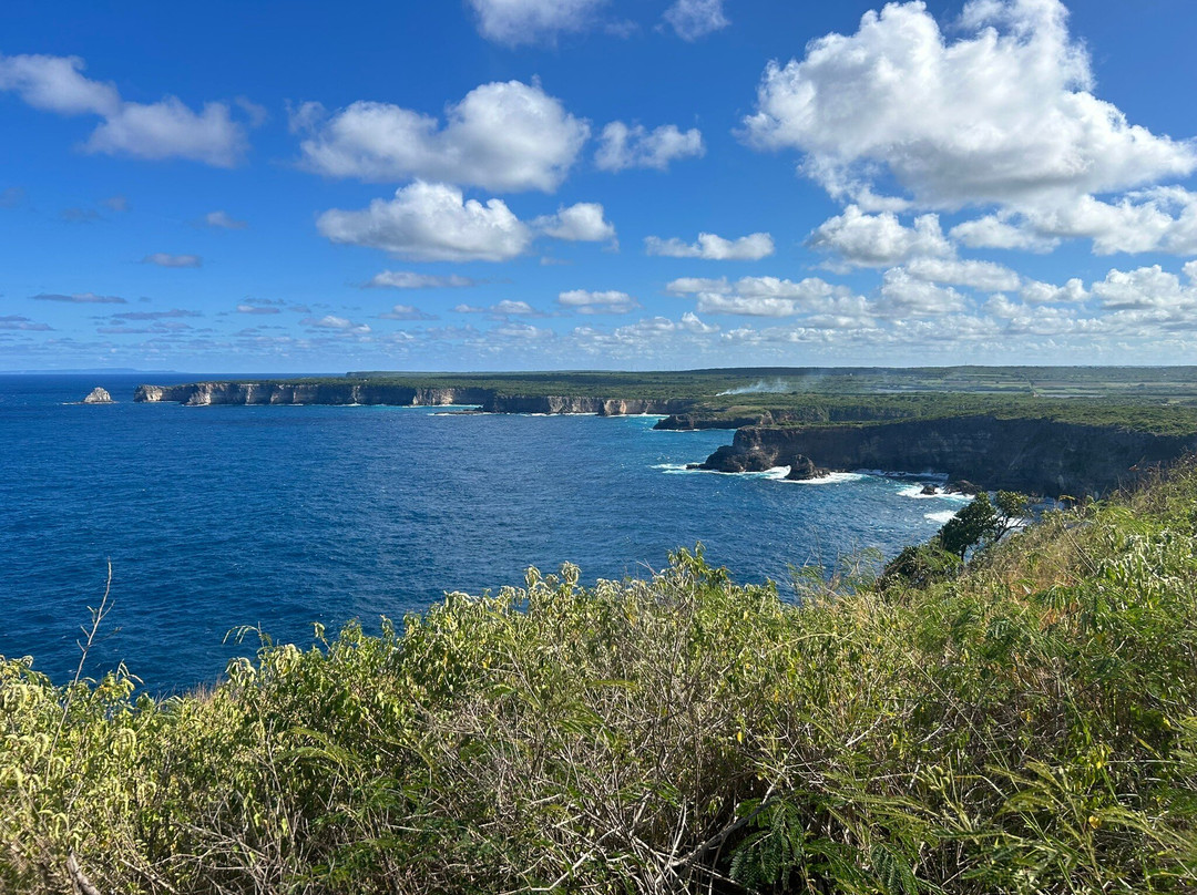 Pointe de la Grande Vigie-Anse-Bertrand必去景点