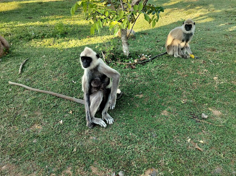 Y2 Taxi & Tours-马塔拉必去景点