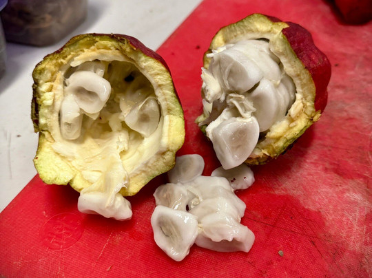 Puna Gold Farm-帕霍亚必去景点