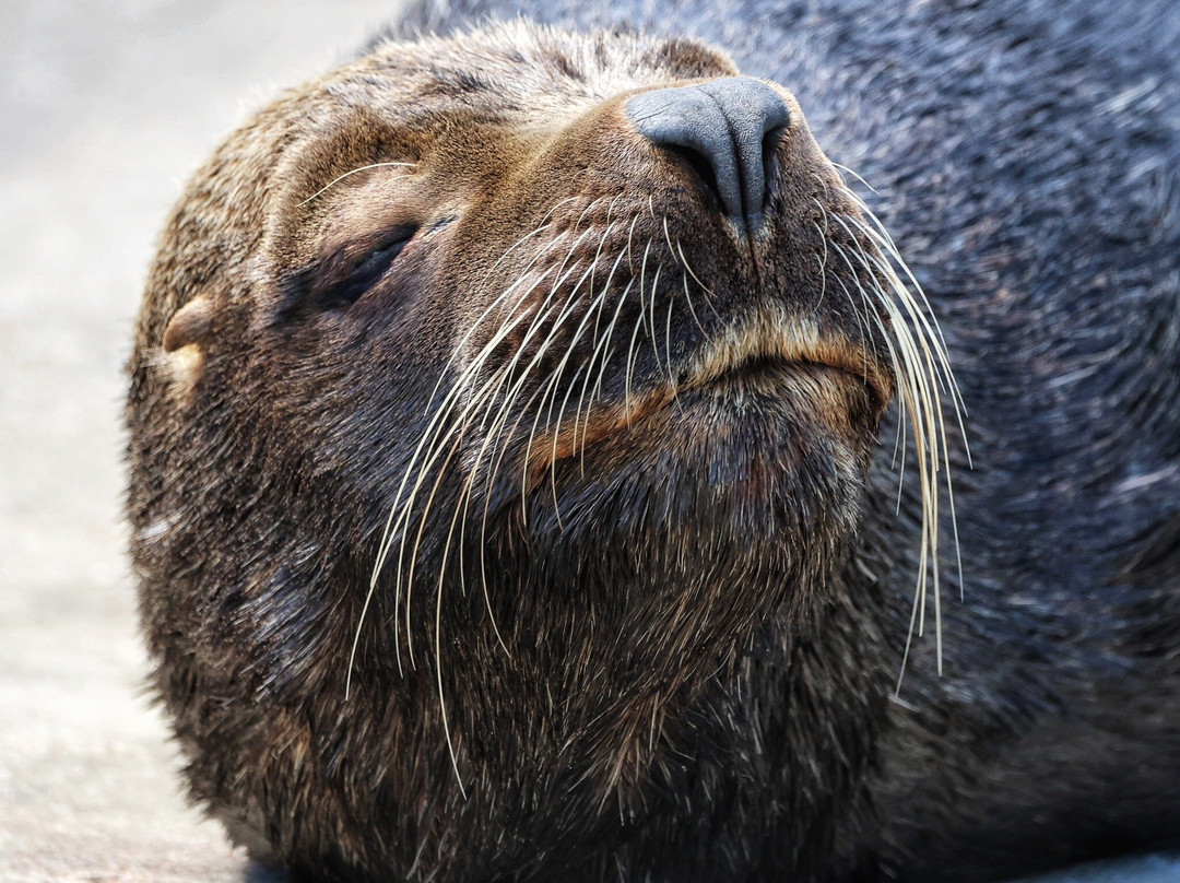 The Waterfront Boutique Hotel主图