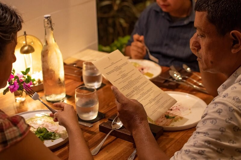 The White Palms Of Nosara