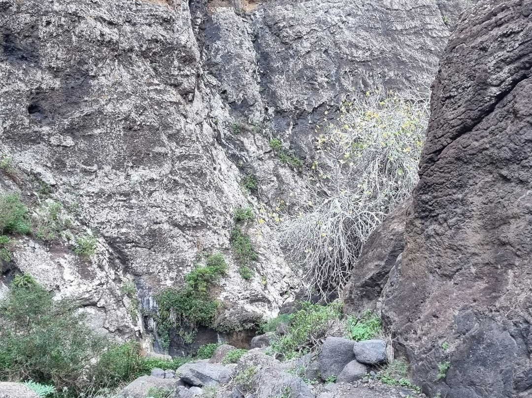Masca Gorge Trail-马斯卡必去景点