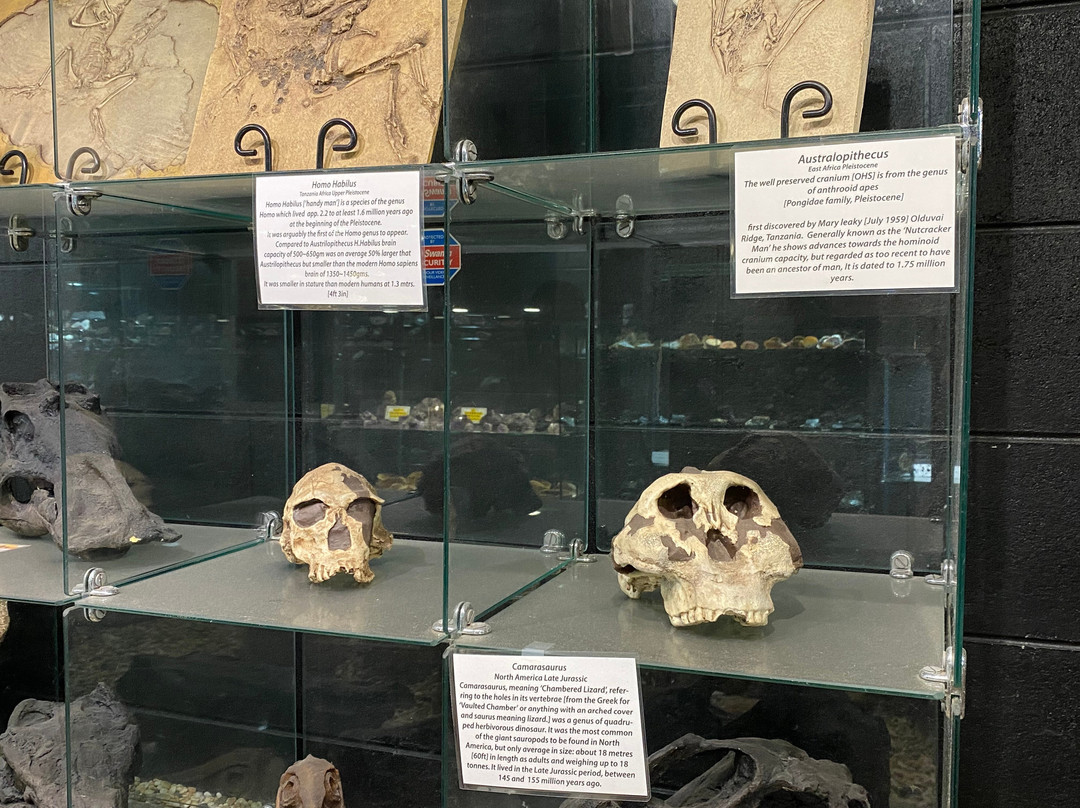 Emu Ridge Gallery景点图片