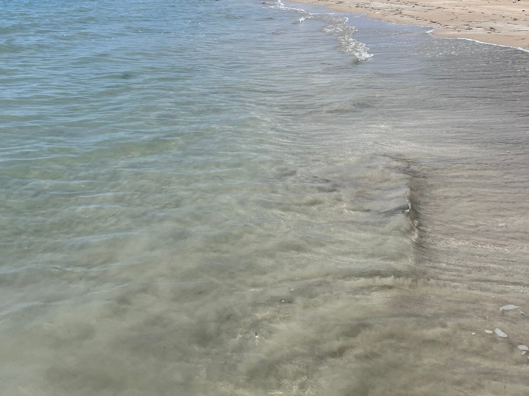 Lyssons Beach景点图片