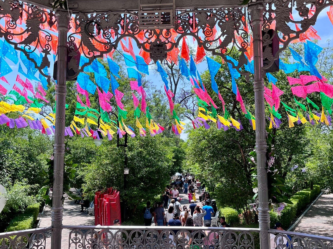 Jardin de San Marcos景点图片