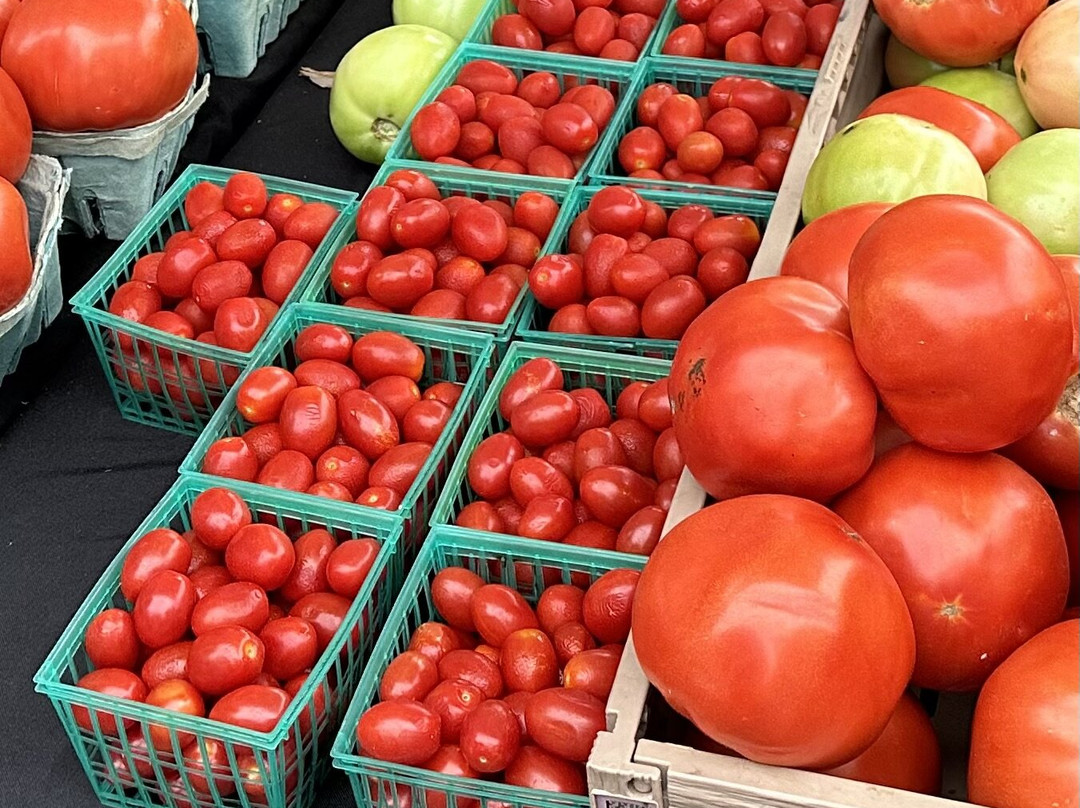 Fernandina Beach Market Place-费尔南迪纳岛必去景点