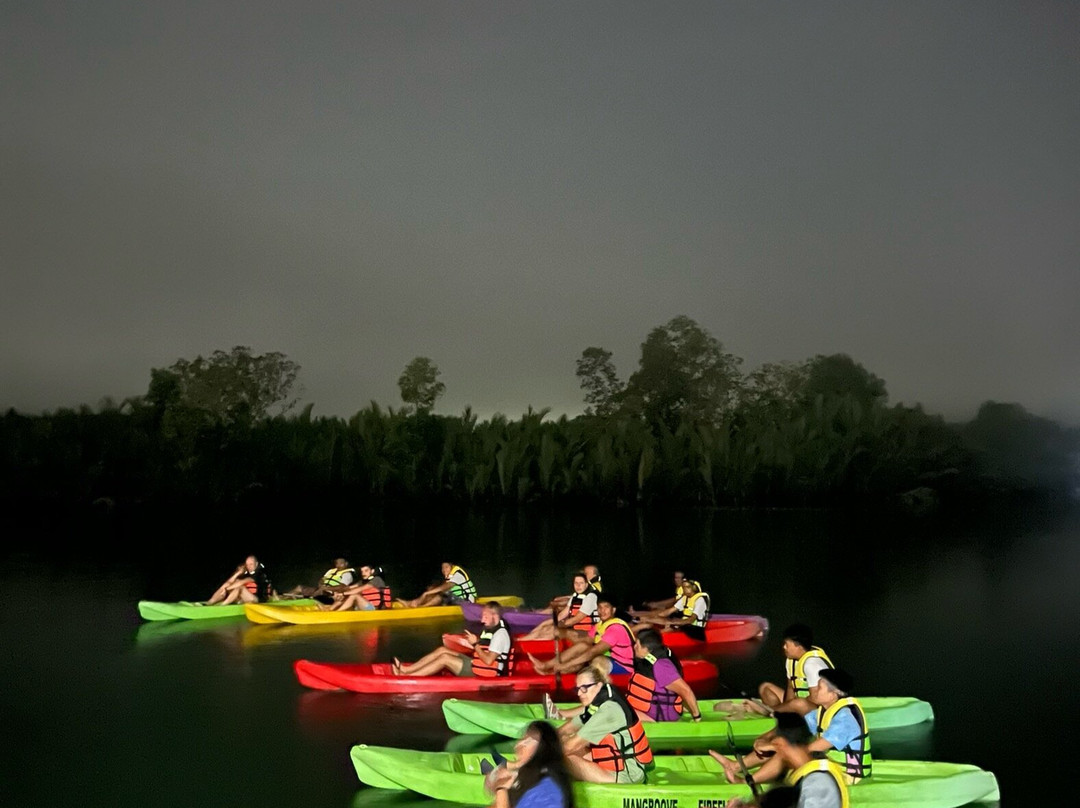 Maribojoc Mangrove Firefly Watching-Maribojoc必去景点