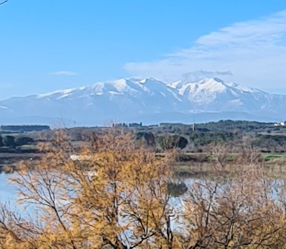 Lac de Villeneuve-de-la-Raho景点图片