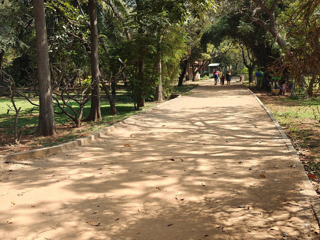 Mahavir Harina Vanasthali National Park景点图片