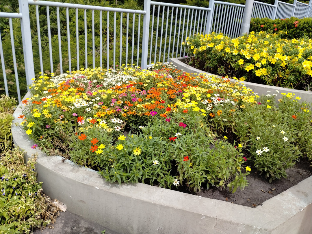 Orla Taumanan-Boa Vista必去景点