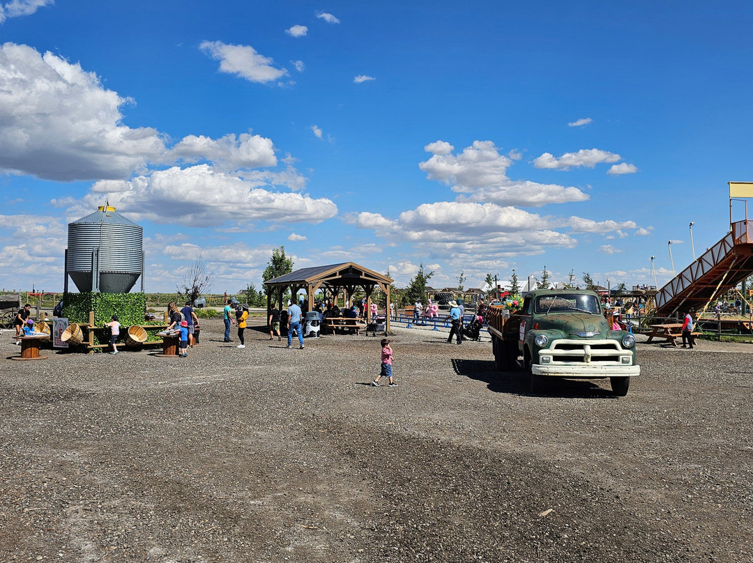 Calgary Farmyard景点图片