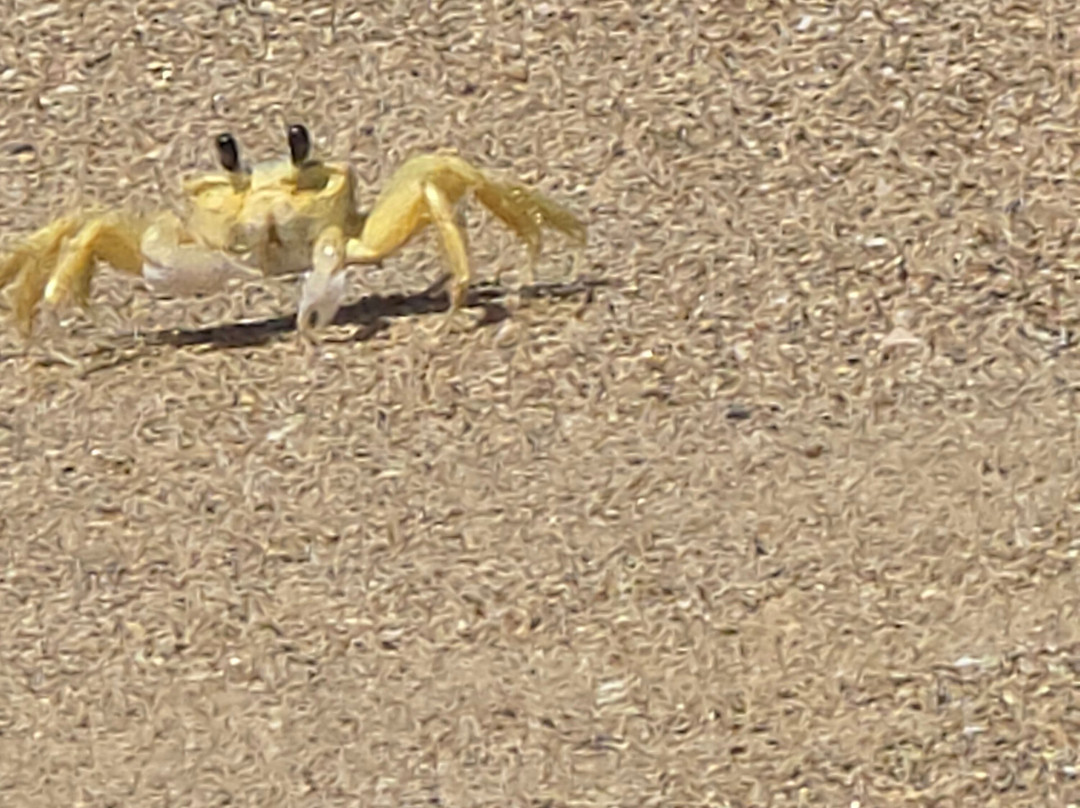 Coconut Palms Inn主图