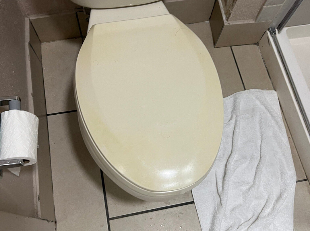 Best Western Shenandoah Inn主图