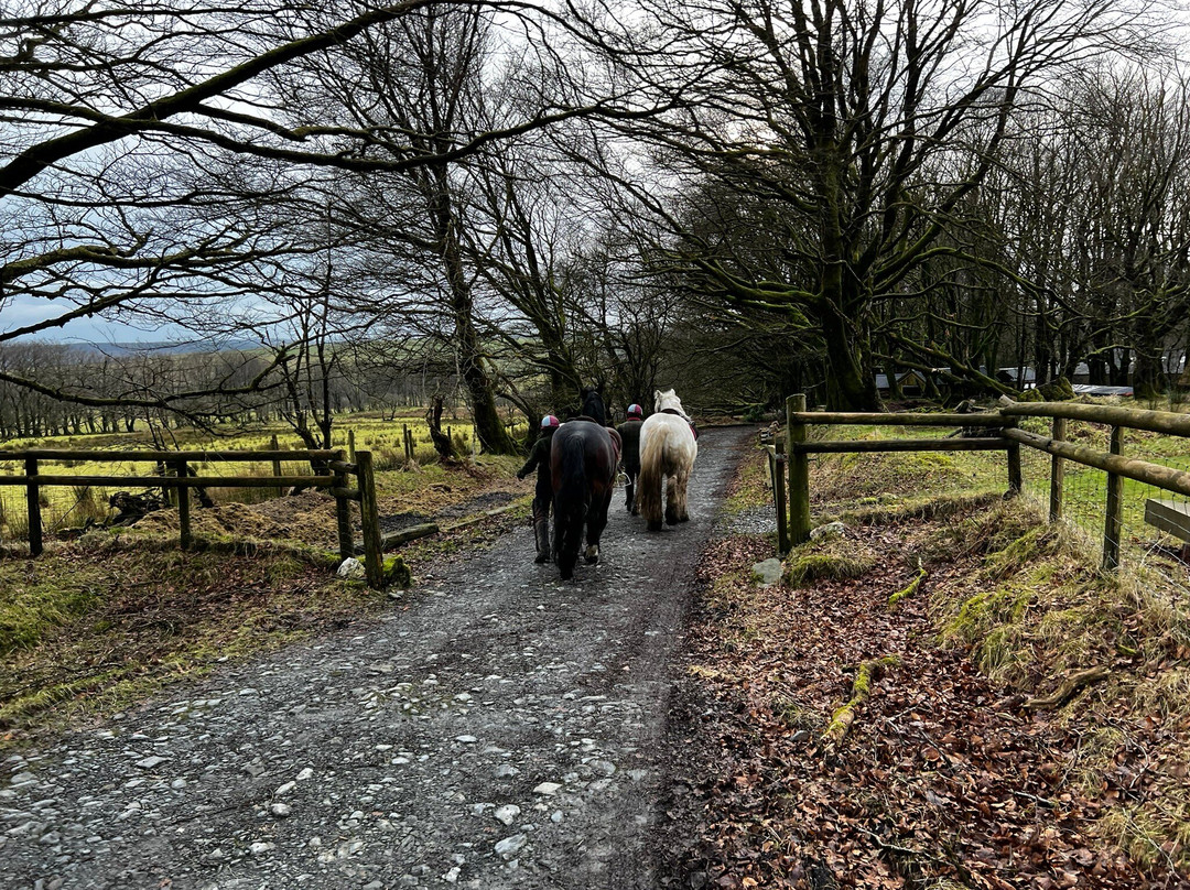 Saddle Tramps Trail Riding-Lampeter必去景点