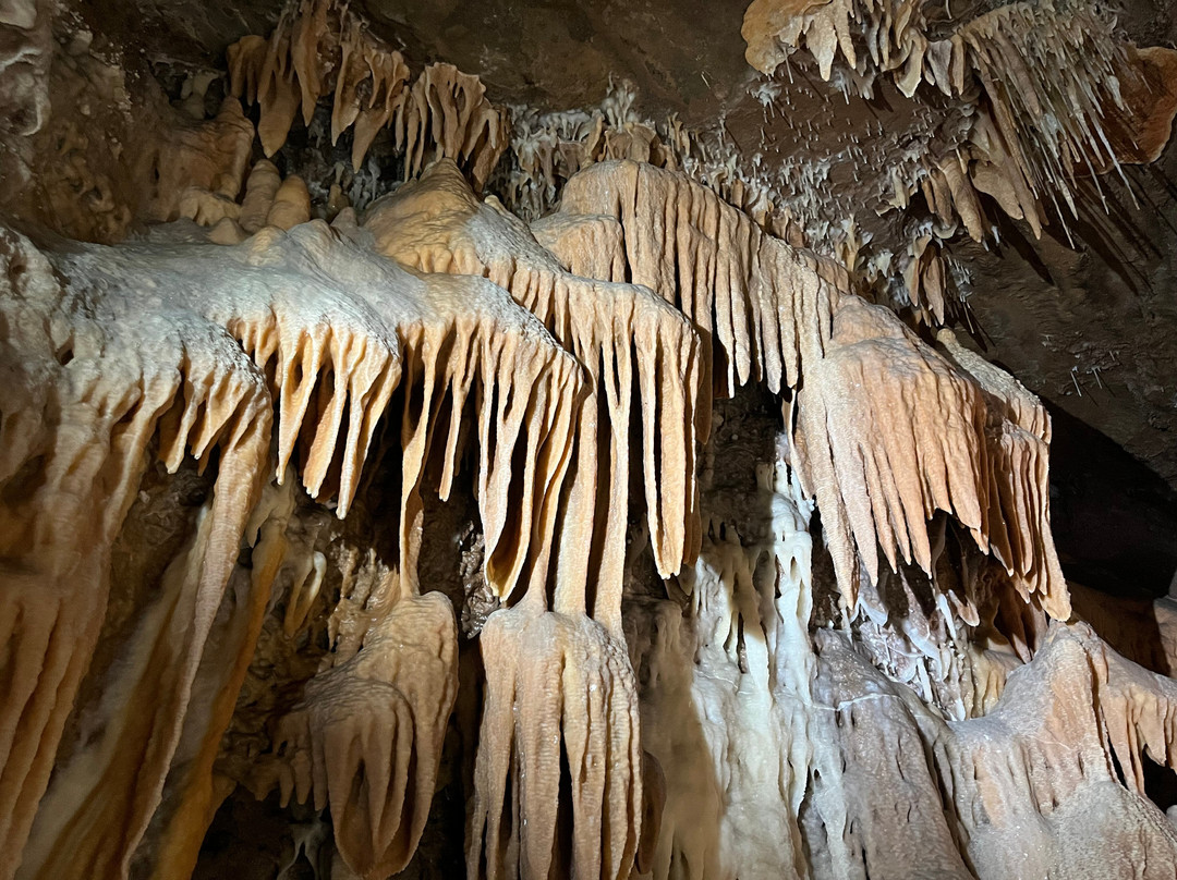 Buchan Caves Reserve景点图片