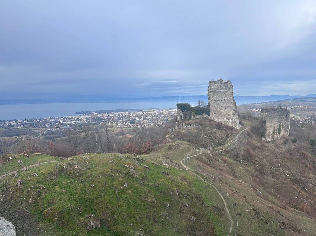 Châteaux des Allinges景点图片