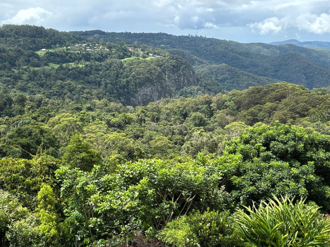 姆卡特乡村小屋酒店主图
