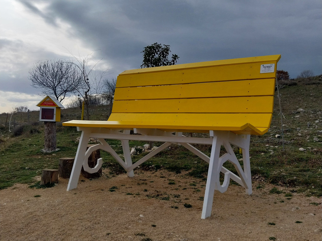 Big Bench  #328 Fiuggi-菲乌吉必去景点