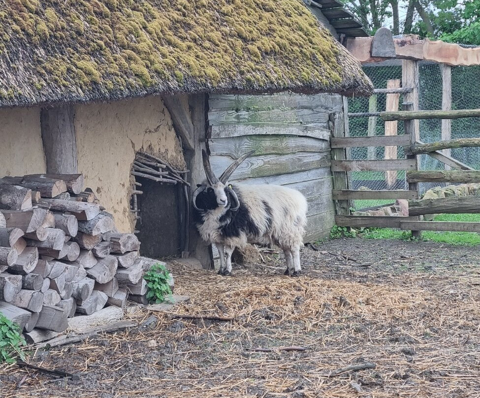 La Tour Roland-Lassigny必去景点