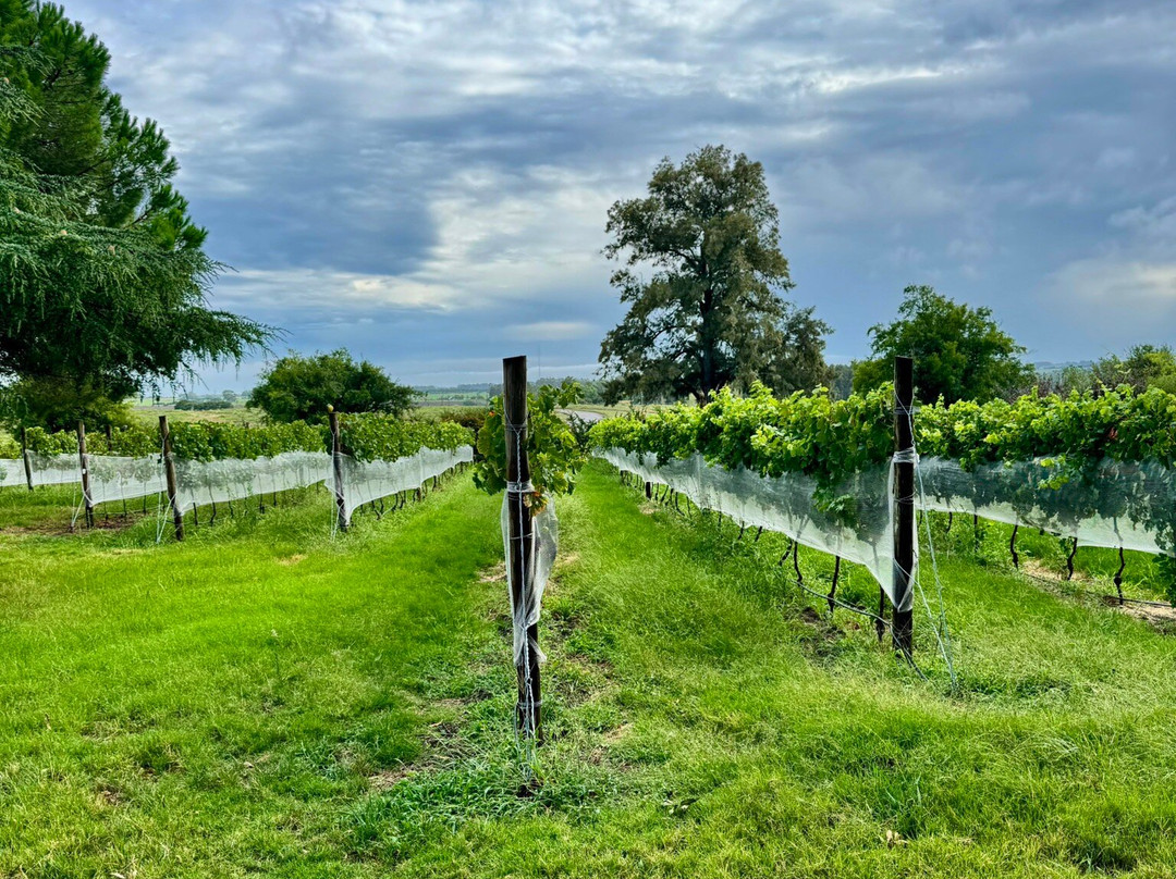 Comarca Las Liebres主图