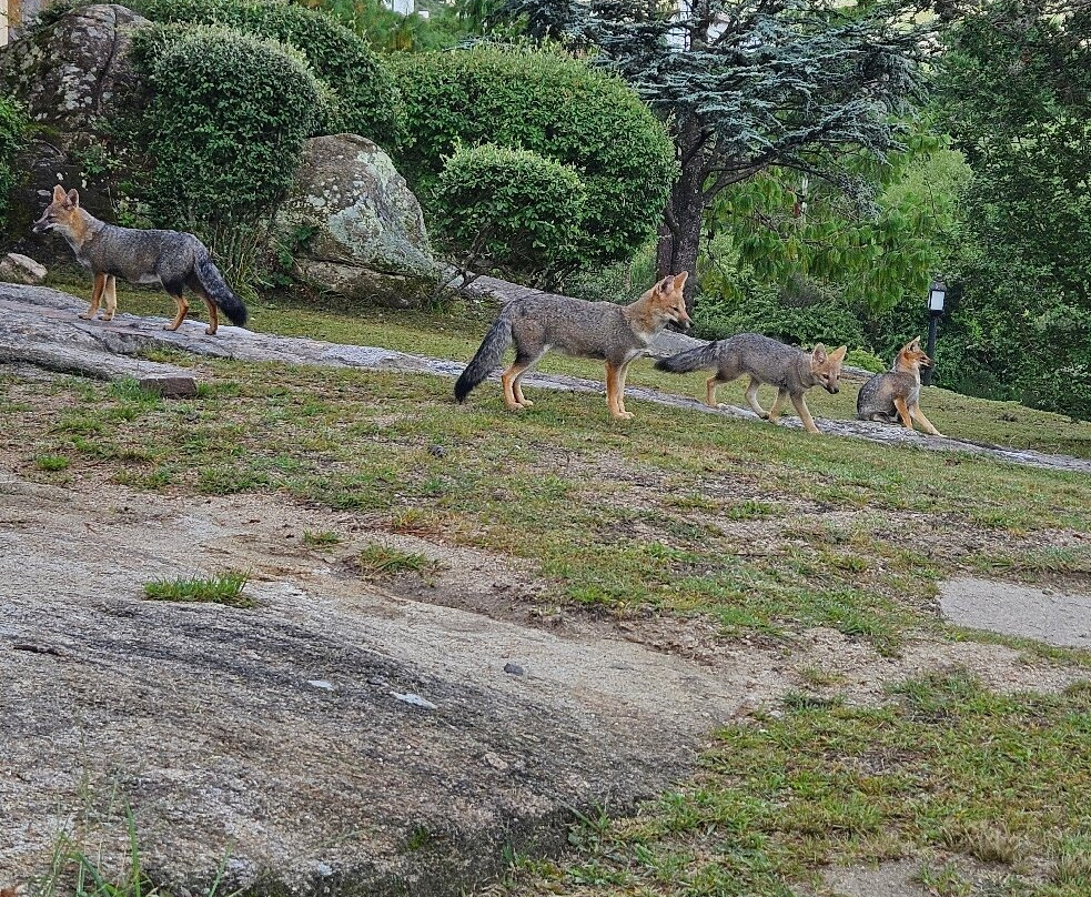 Balcones de la Cumbrecita主图
