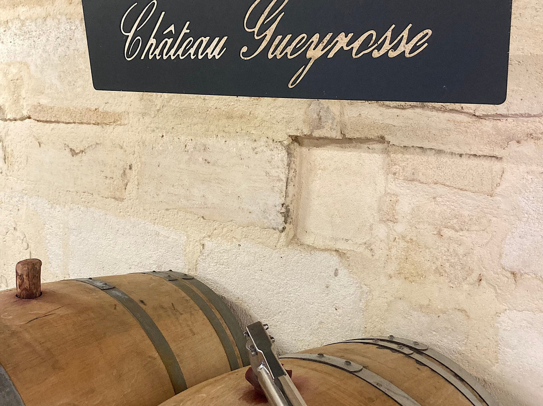 Château Gueyrosse EARL Vignobles Yves DELOL景点图片