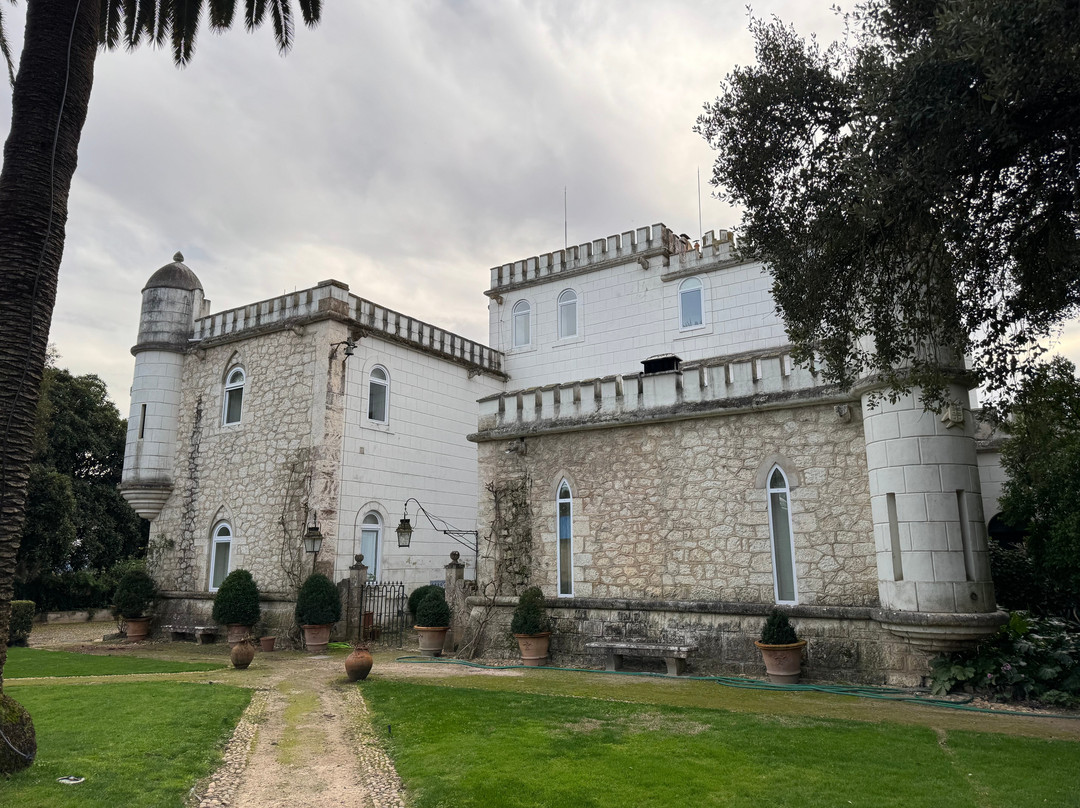 Azeite Casa Anadia - Olive Oil & Tours景点图片