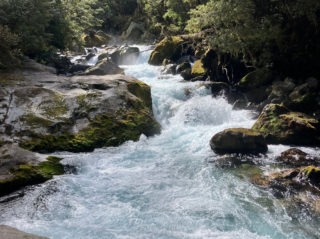 Lake Marian Track景点图片