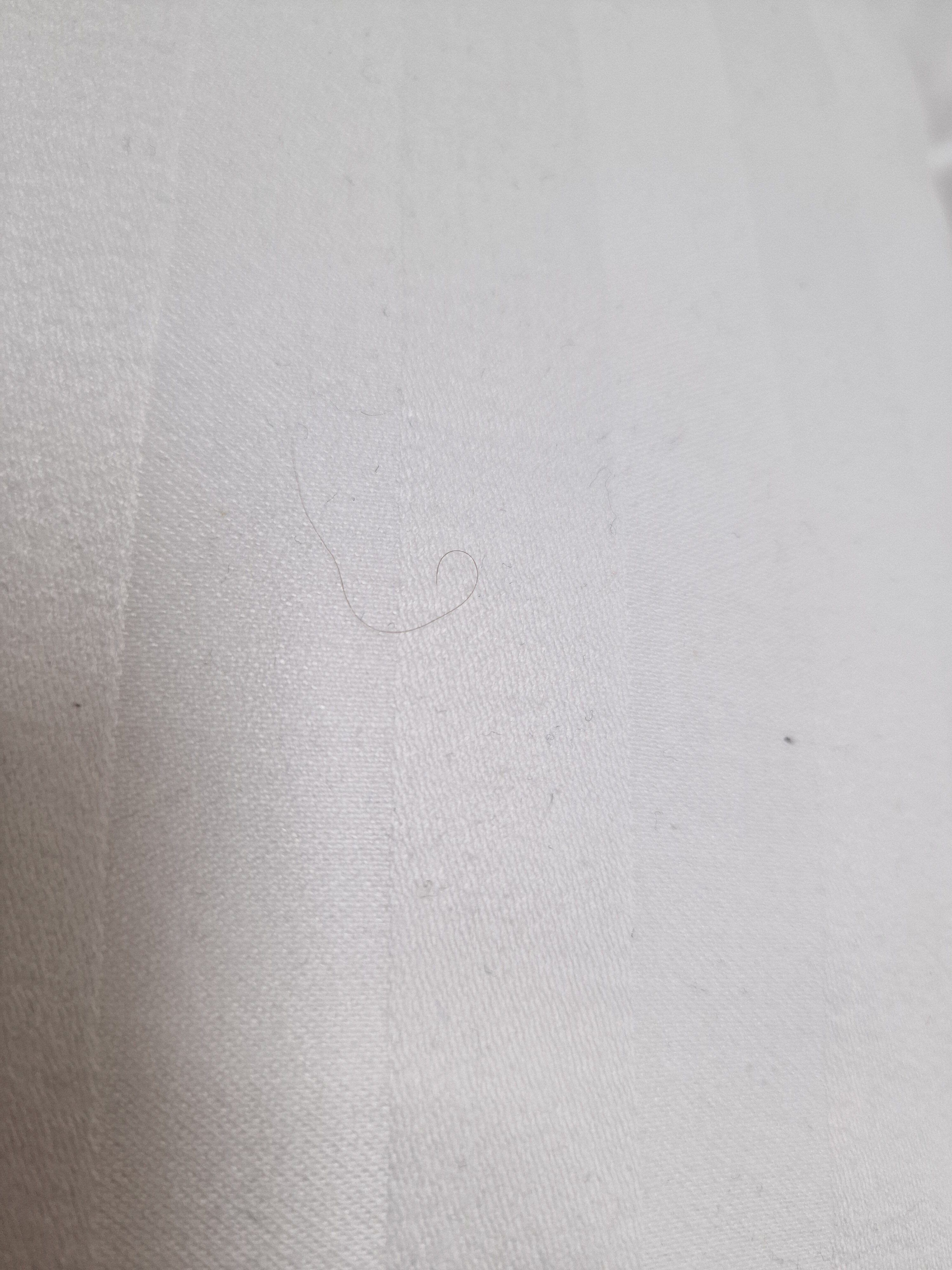 Staffanstorps Gastis Hotell-官方