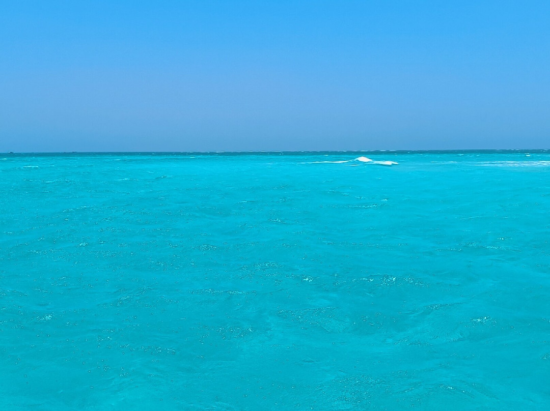 Full Day Wasini Island Dolphin Tour From Mombasa/Diani-Wasini Island必去景点