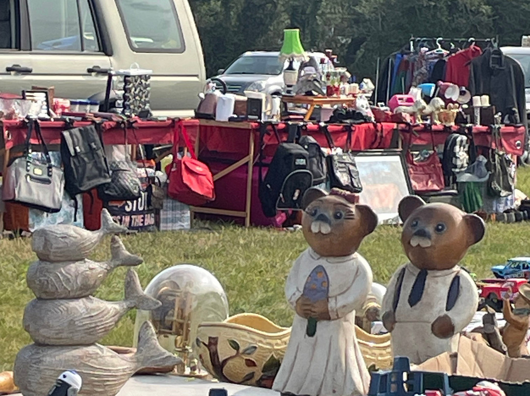 Weeting Saturday Car Boot Sale景点图片