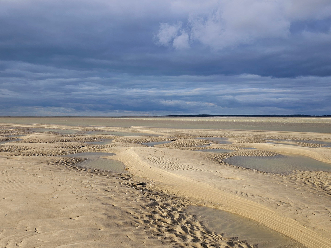Decouvrons la Baie de Somme Day Tours景点图片