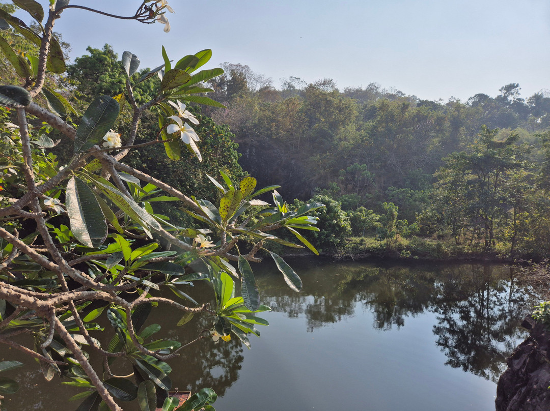 Experience Kerala Holiday Planners景点图片