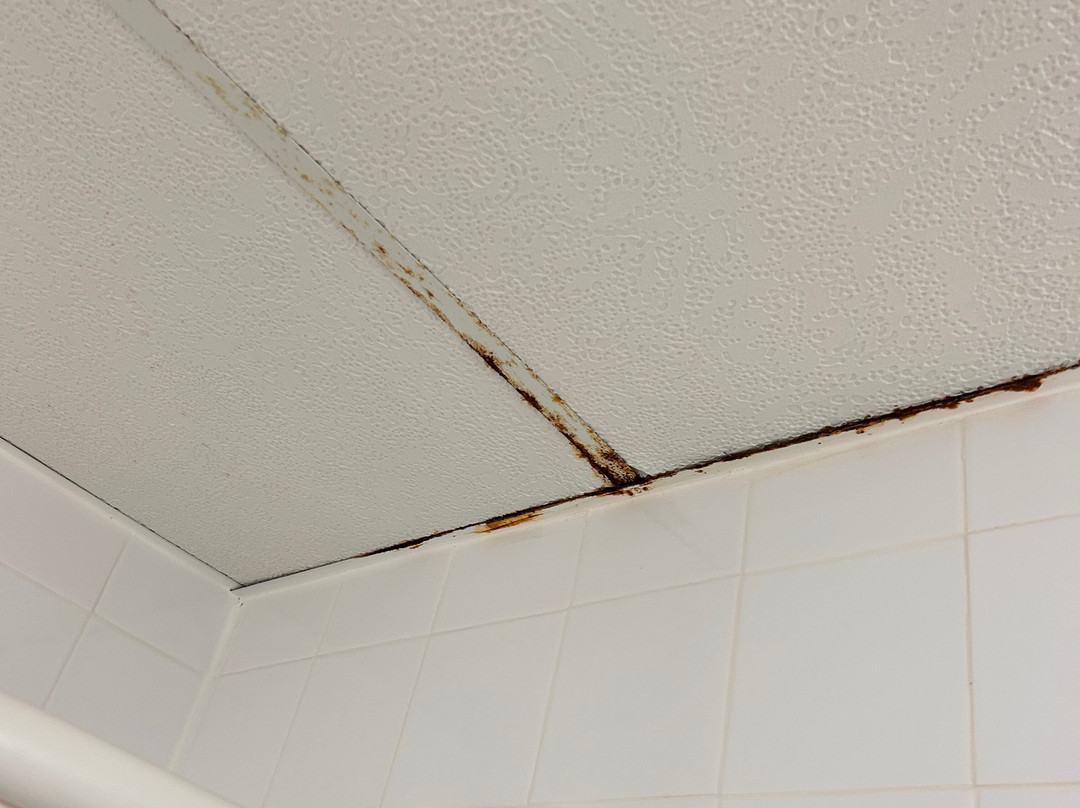 Quality Inn Plainfield I-395主图