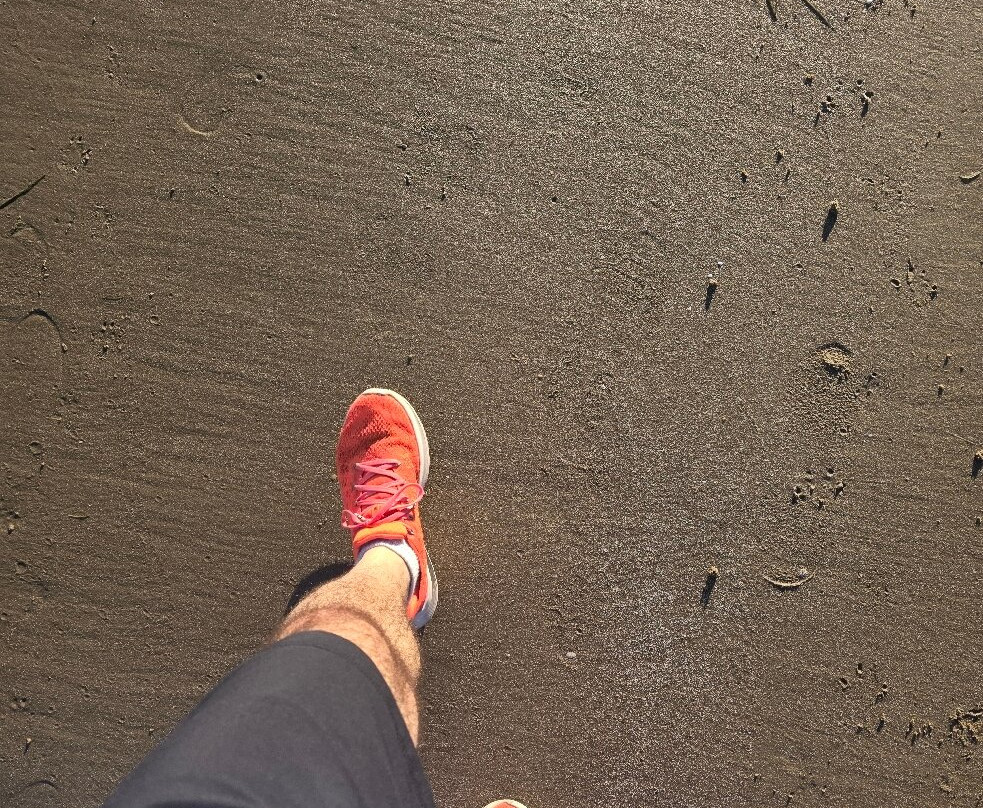 Long Beach-霍巴特必去景点