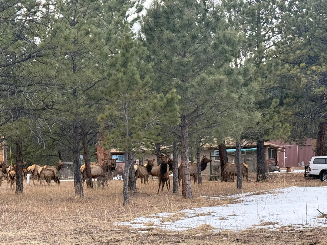 Elk Meadow Park-Evergreen必去景点