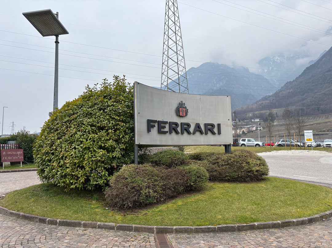 Cantine Ferrari F.lli Lunelli景点图片