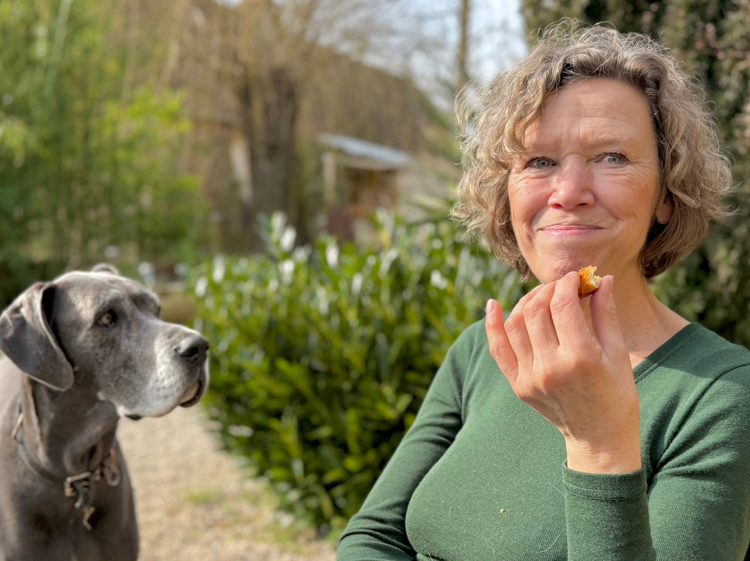 Centre Equestre Du Passe-Temps主图