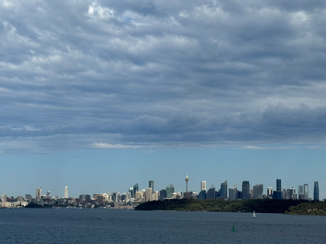 淑女湾-悉尼必去景点