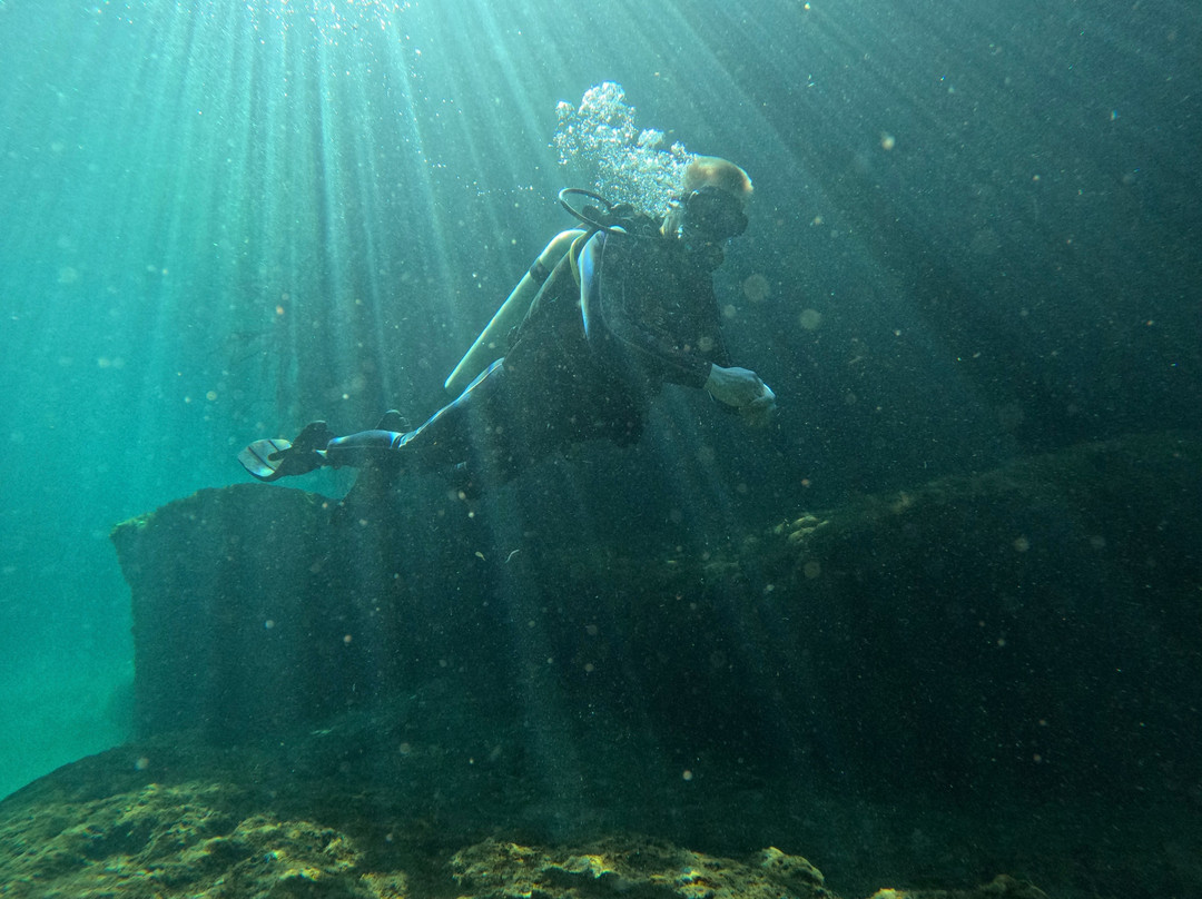 The Dive Machine景点图片