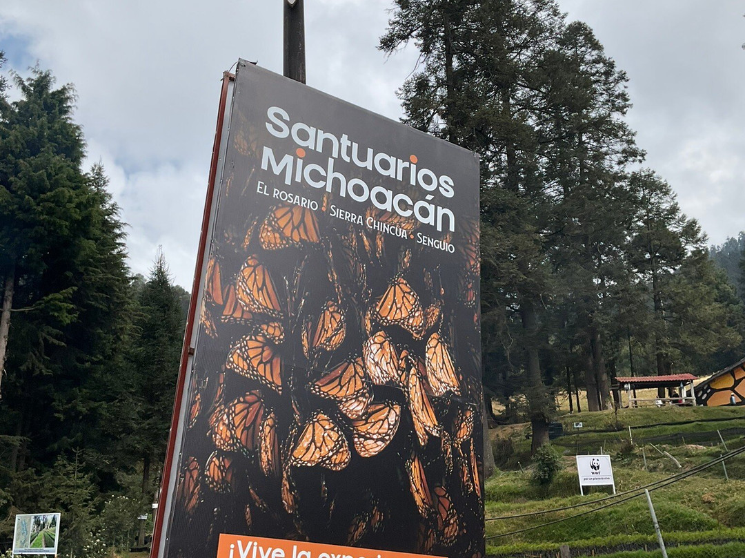 El Rosario Monarch Butterfly Preserve景点图片