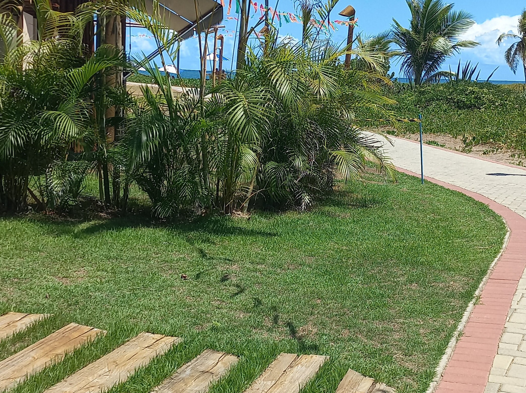 Bahia Plaza Hotel主图