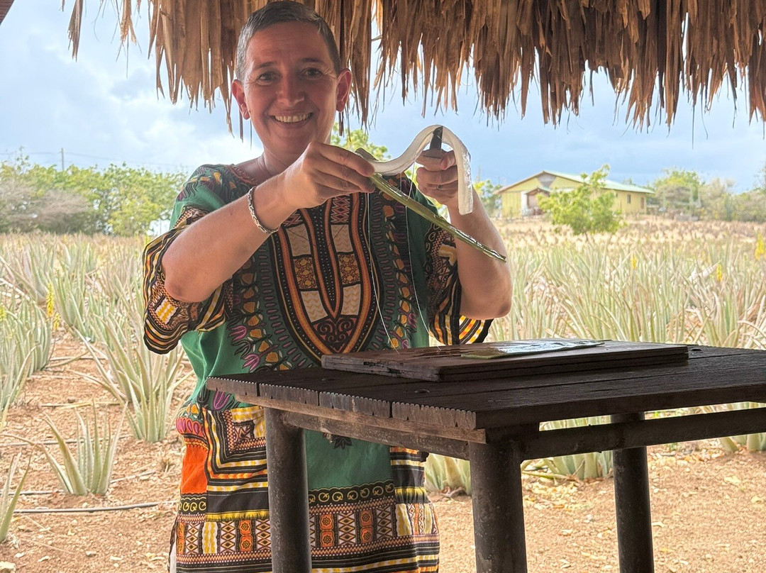 The Aloe Vera Curacao, Home of Curaloe Tour-威廉斯塔德必去景点